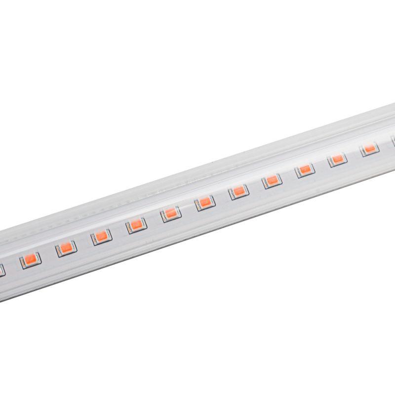 Светильник ФИТО LWL-2024-01 10Вт IP40 600мм Camelion 15829