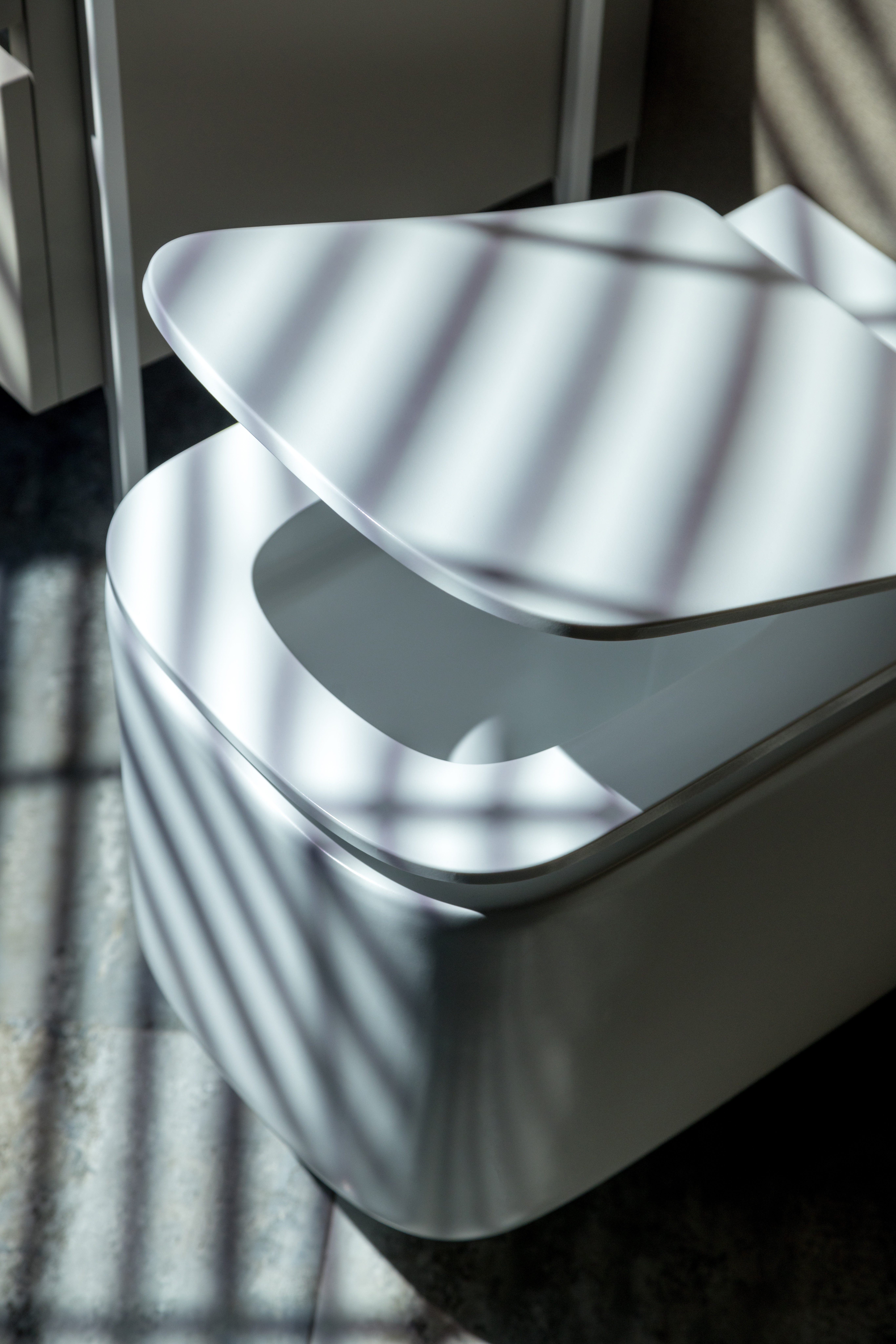 Унитаз подвесной с функцией биде, Mane Белый матовый с крышкой