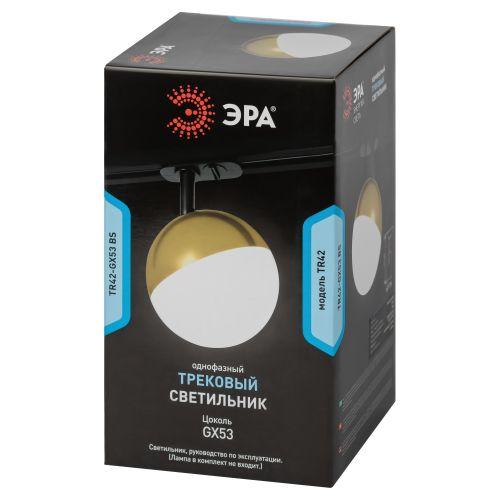 Светильник трековый TR42-GX53 BS 1ф под лампу GX53 латунь Эра Б0054180