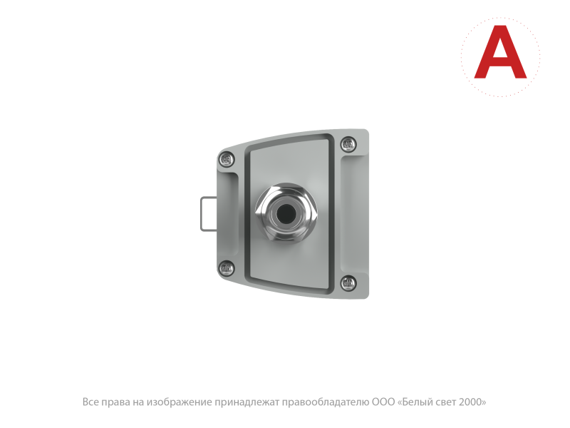 Светильник аварийный BS-AMON-10-L1-12/24 V04 3000К Белый свет a32476