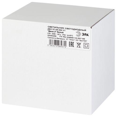 Светильник светодиодный садово-парковый ДБУ 07-8-002 Дели 2 8Вт 3000К IP44 4 гранный настенный бел. Эра Б0064269