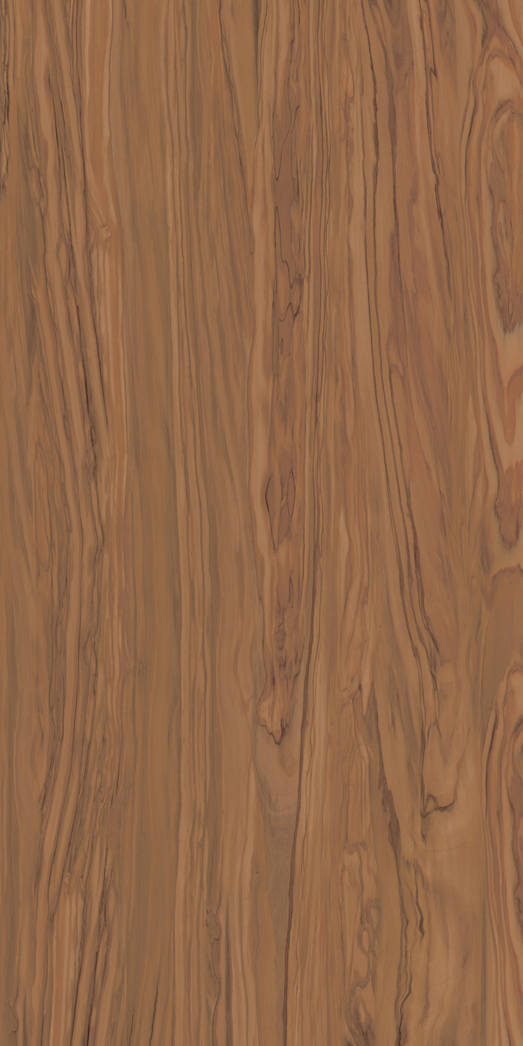 Керамогранит Олива коричневый 60х119,5, SG565300R