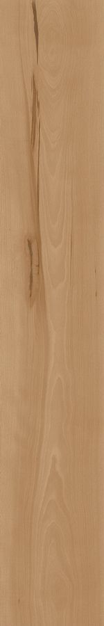 Керамогранит Atlas Concorde Log Cansei AX7A Fenice Matte 20x120