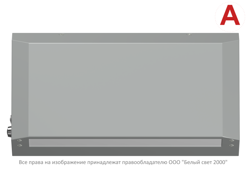 Светильник аварийный BS-CUSTOS-53-L1-INEXI2 4000К Gray Белый свет a32348