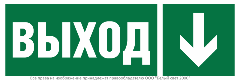 Знак безопасности NPU-3311.E29"Направление к эвакуационному выходу вниз" Белый свет a32683