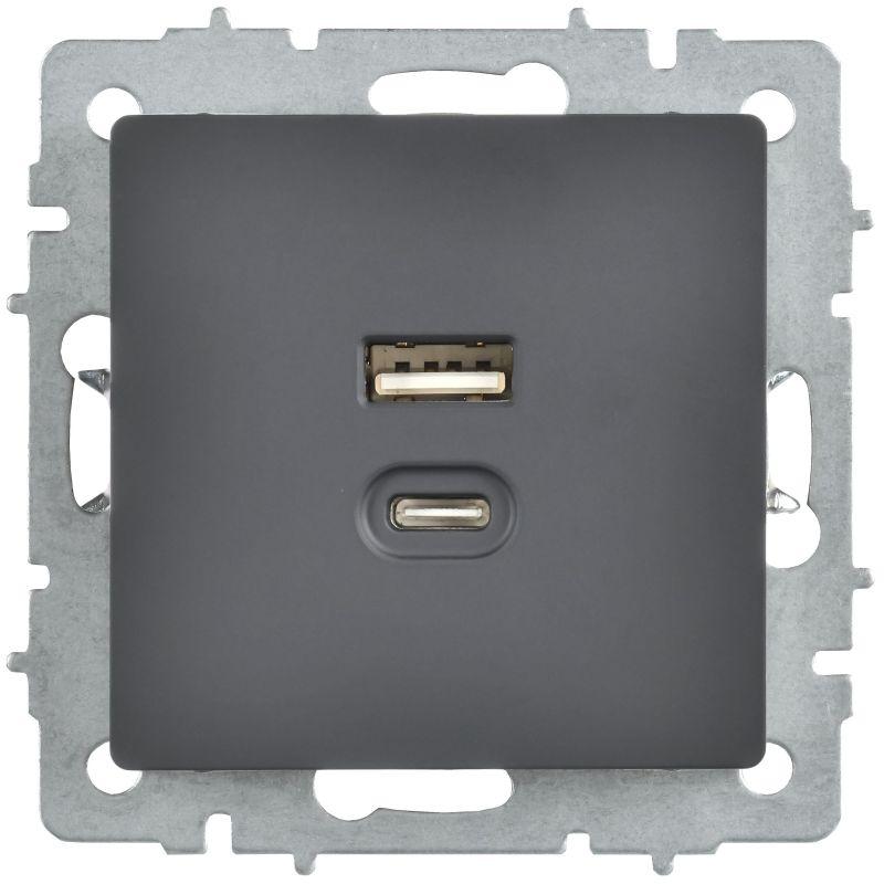 Розетка СП BRITE РЮ11-2-БрГ USB A+C 45Вт высокоскор. заряд. графит IEK BR-U22-045-K53