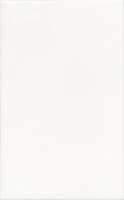 Плитка Ауленсия серый 25х40, 6387