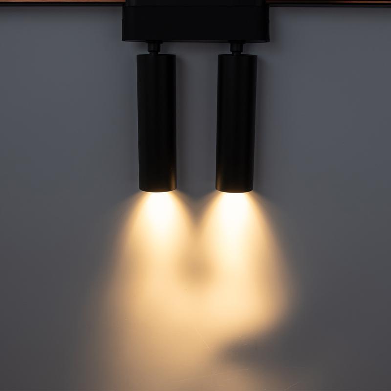 Светильник светодиодный трековый MTR16 2016 2х8Вт 3000К 24град. BL IP20 низковольтный Pro черн. JazzWay 5056534