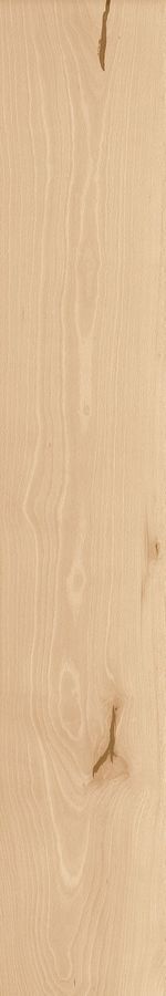 Керамогранит Atlas Concorde Log Cansei AX69 Rialto Matte 20x120