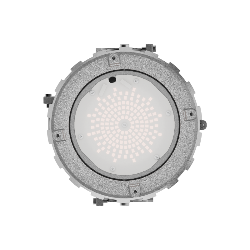 Светильник светодиодный FLINT Ex/B 30W D120 750 HG CD60 СТ 1949000080