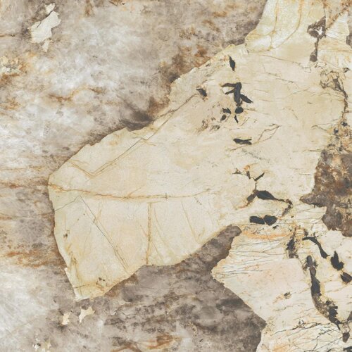 Керамогранит Atlas Concorde Marvel Gala AFXM Desert Soul Lappato 120x120