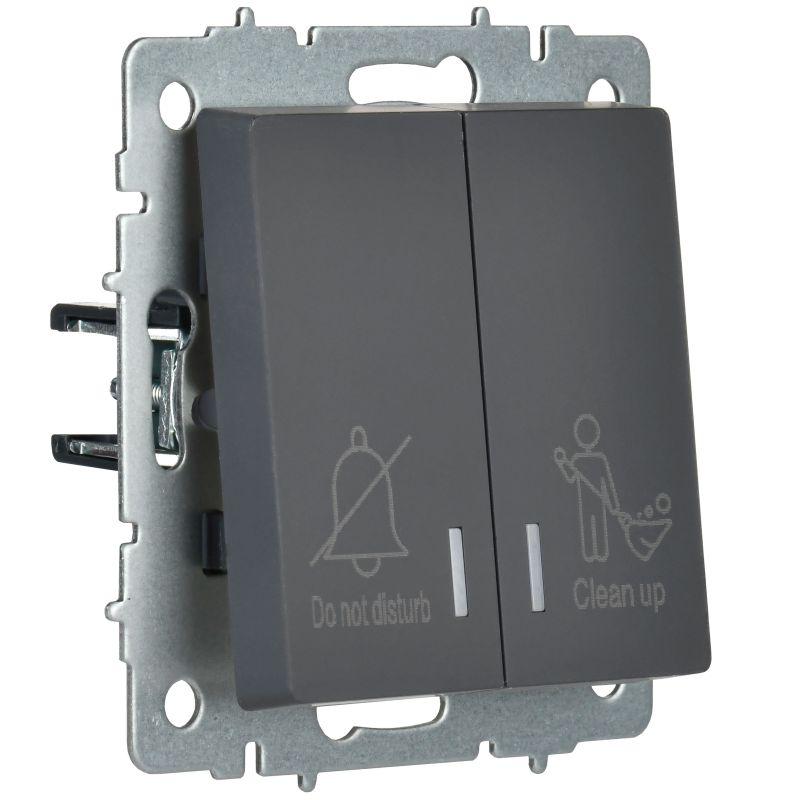 Выключатель 2-кл. BRITE 10А ВС10-2-9-БрГ для отелей с индик. механизм графит IEK BR-V20-2-10-K53