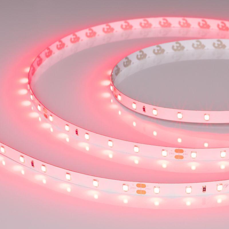 Лента светодиодная RT-A60-8mm 24В Ruby 4.8Вт/м IP20 (уп.5м) Arlight 055374