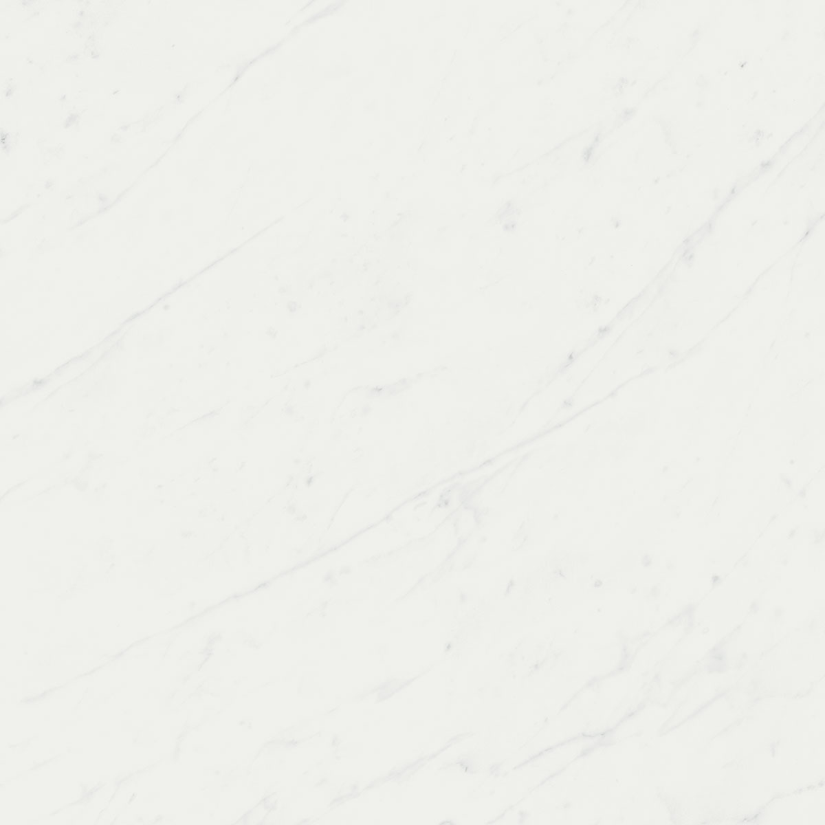 Керамогранит Борсари белый 50,2х50,2, SG453500R