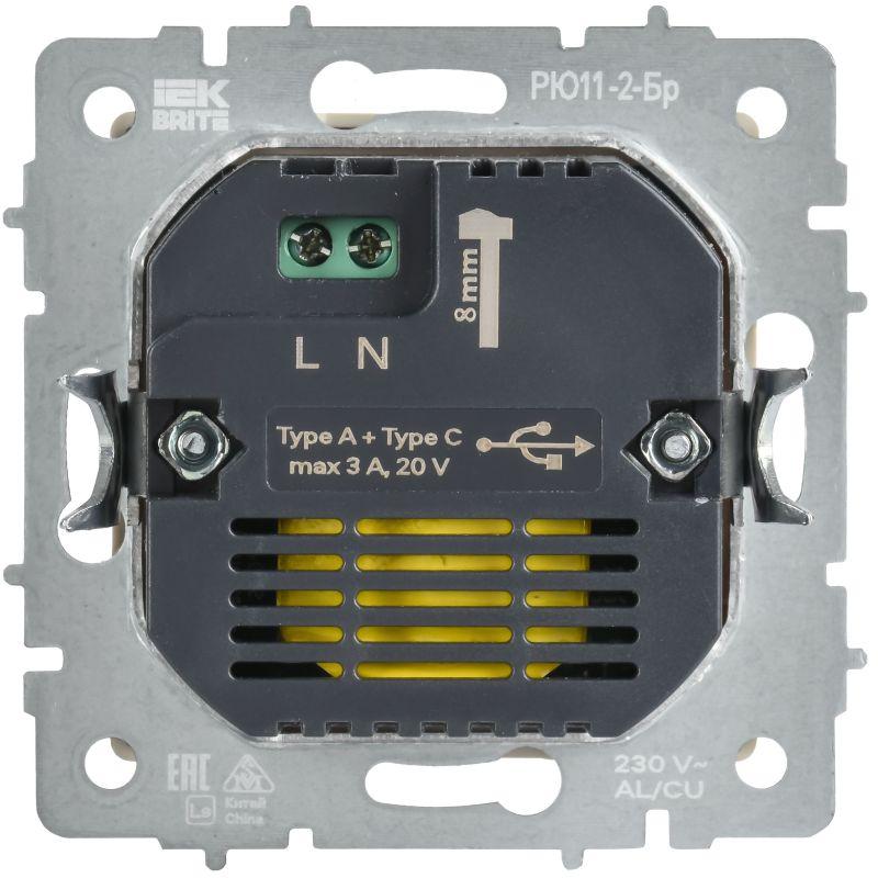 Розетка СП BRITE РЮ11-2-БрШ USB A+C 45Вт высокоскор. заряд. шампань IEK BR-U22-045-K37