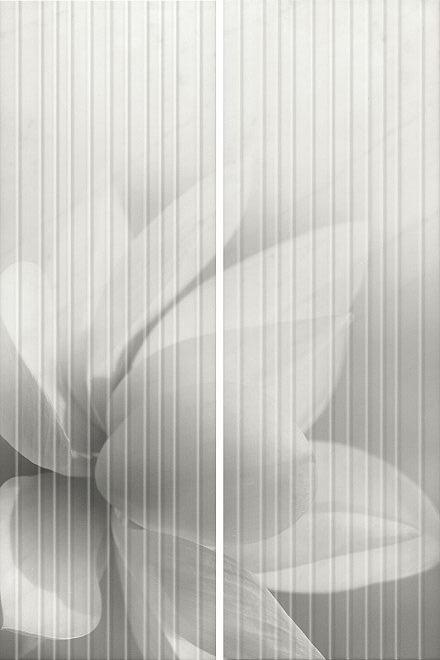 Панно Борсари 50x75 (2 части), HGD\A200\2x\12102R