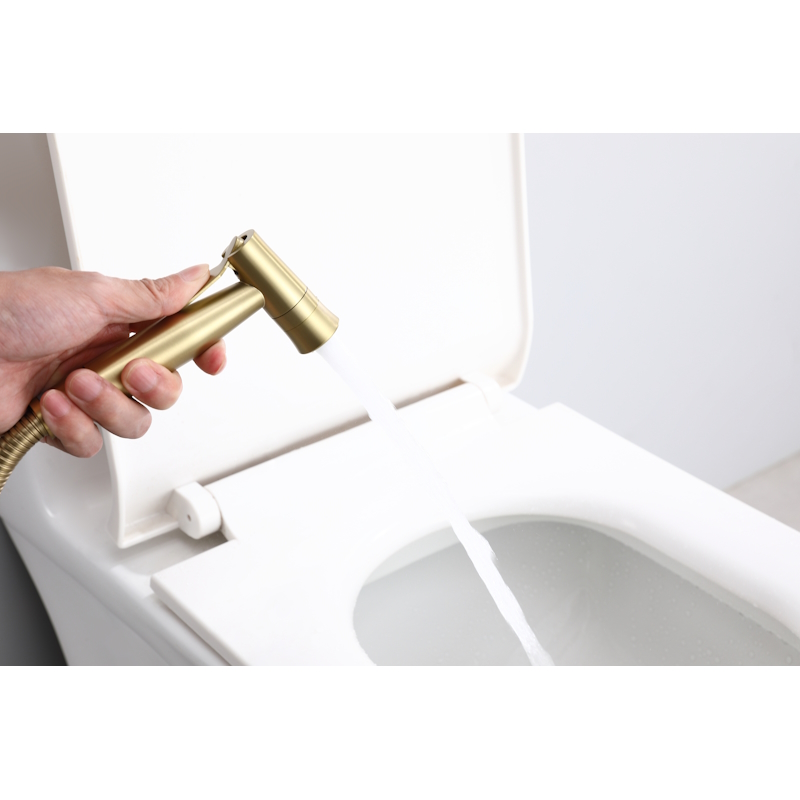 Гигиенический душ со смесителем  Raglo R10.52.03, сатин золотой