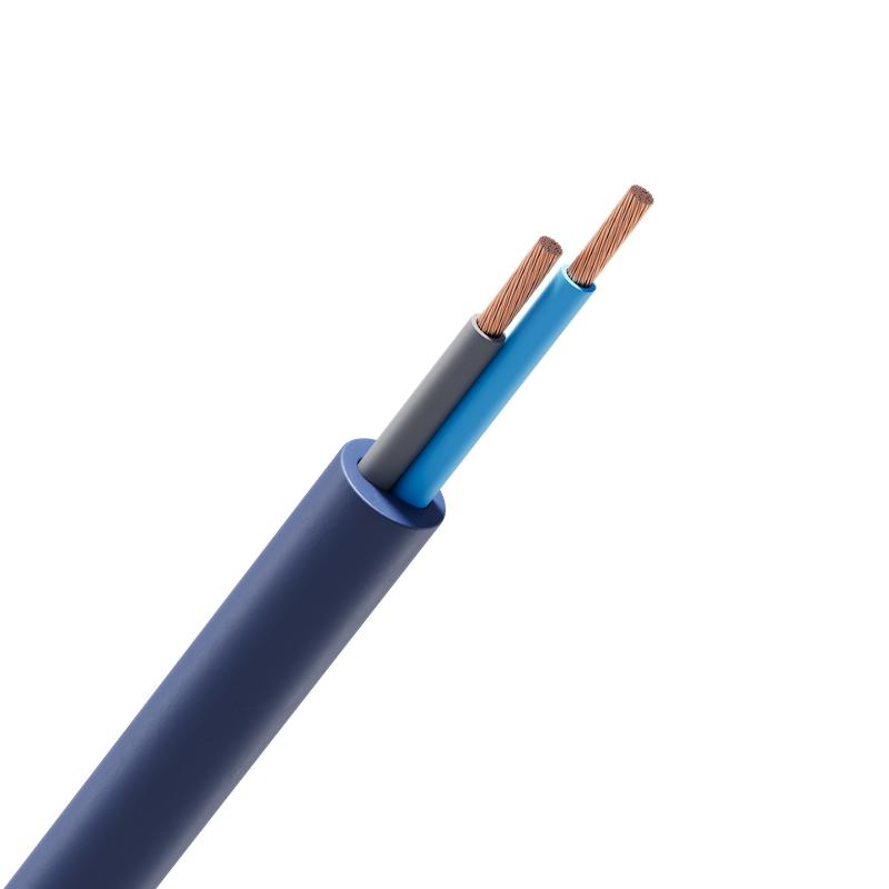 Кабель Русский Свет КГВВнг(А)-LS 2х2.5 (N) 380/660-2 (м) 10012