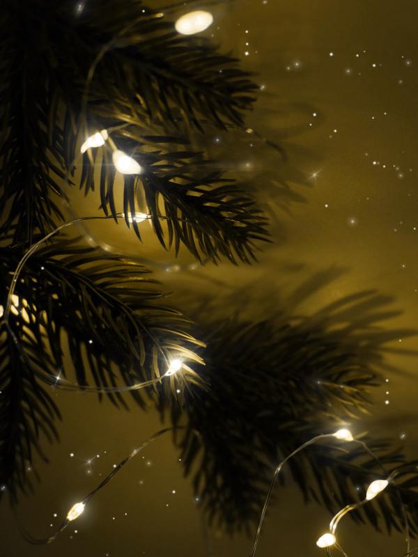 Гирлянда DC-G05-20YS2 20LED 2xCR2032(в компл.) желт. (уп.2шт) ФАZА 5047976