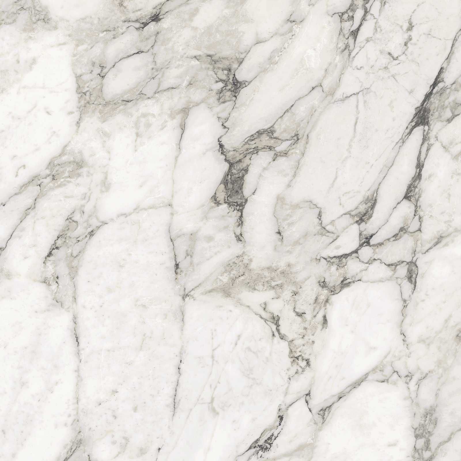 Плитка из керамогранита глянцевая Marazzi Italy Grande Marble Look белый (M2AJ)