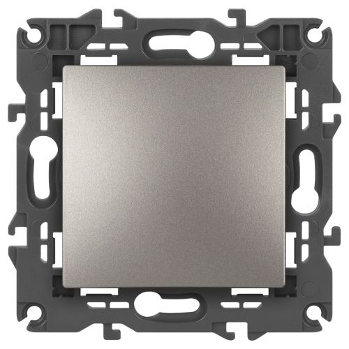 Кнопка Elegance 250В 10АХ титан 14-1111-16 Эра Б0065812