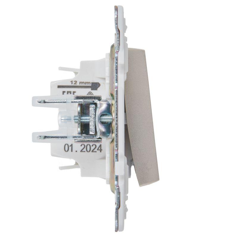 Выключатель 1-кл. SKANDY 10А SK-V07Sh с индикацией шампань IEK SK-V10-1-10-K37