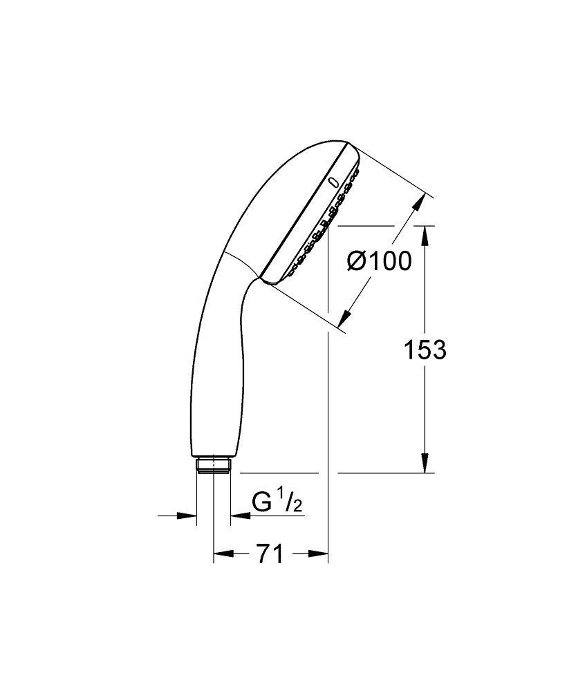 Душевая лейка Grohe New Tempesta 100 28261002