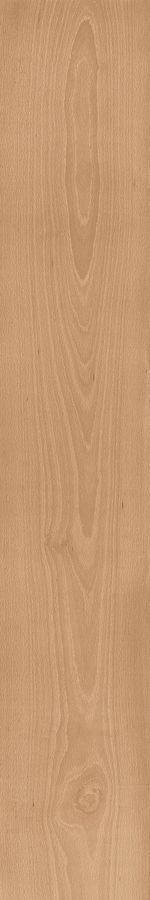 Керамогранит Atlas Concorde Log Cansei AX7C Darsena Matte 20x120