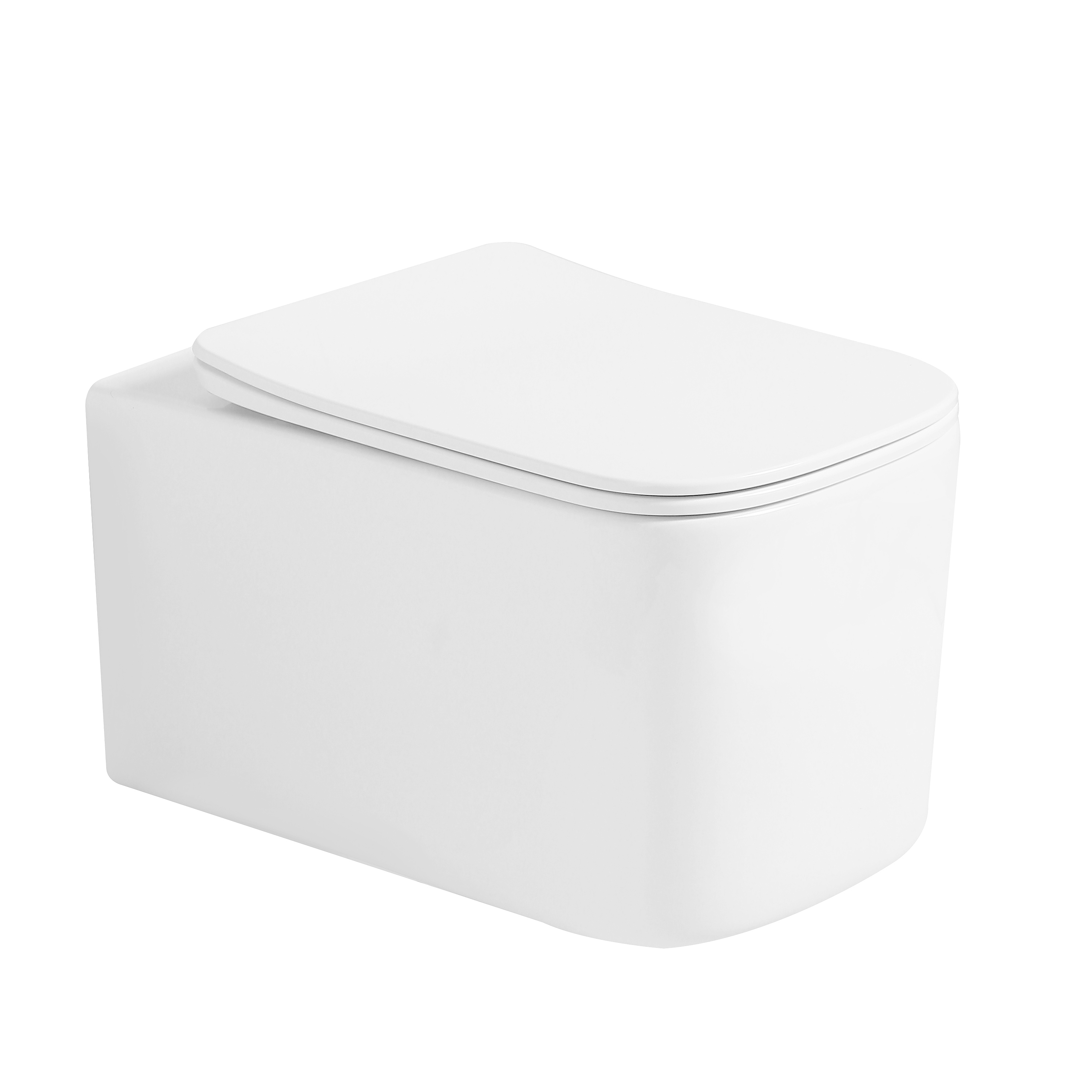 Биде подвесное Mane Белый матовый