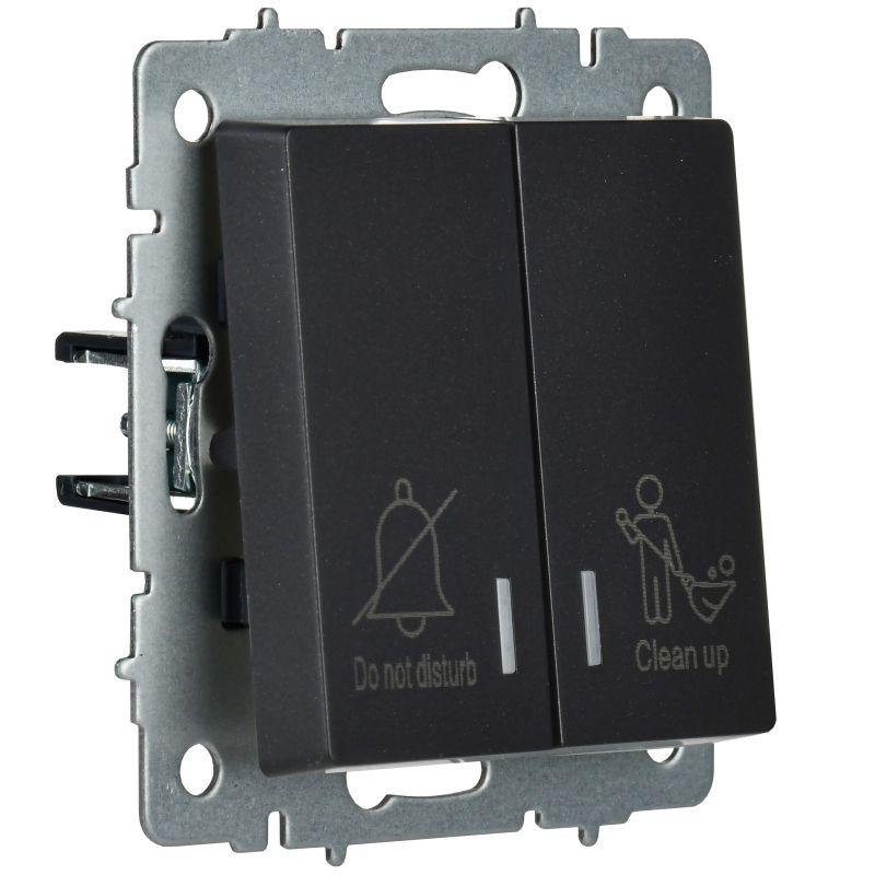 Выключатель 2-кл. BRITE 10А ВС10-2-9-БрЧ для отелей с индик. механизм черн. IEK BR-V20-2-10-K02