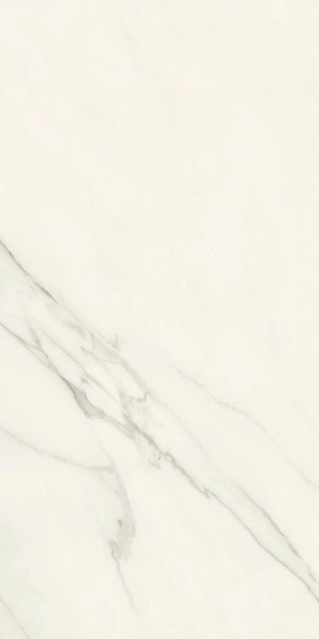 Керамогранит Atlas Concorde Marvel Meraviglia AJIR Calacatta Matt 60x120