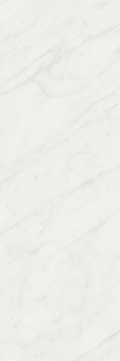 Плитка Борсари белый 25х75, 12103R