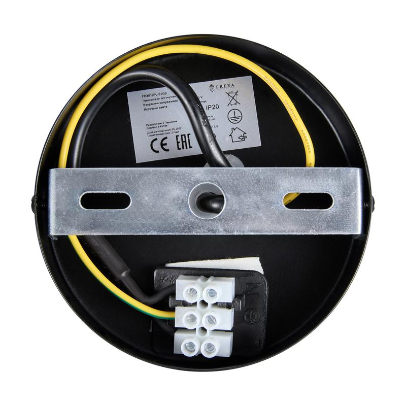 Светильник Lizia 40Вт E14х1 IP20 подвесной Freya FR8010PL-01GB