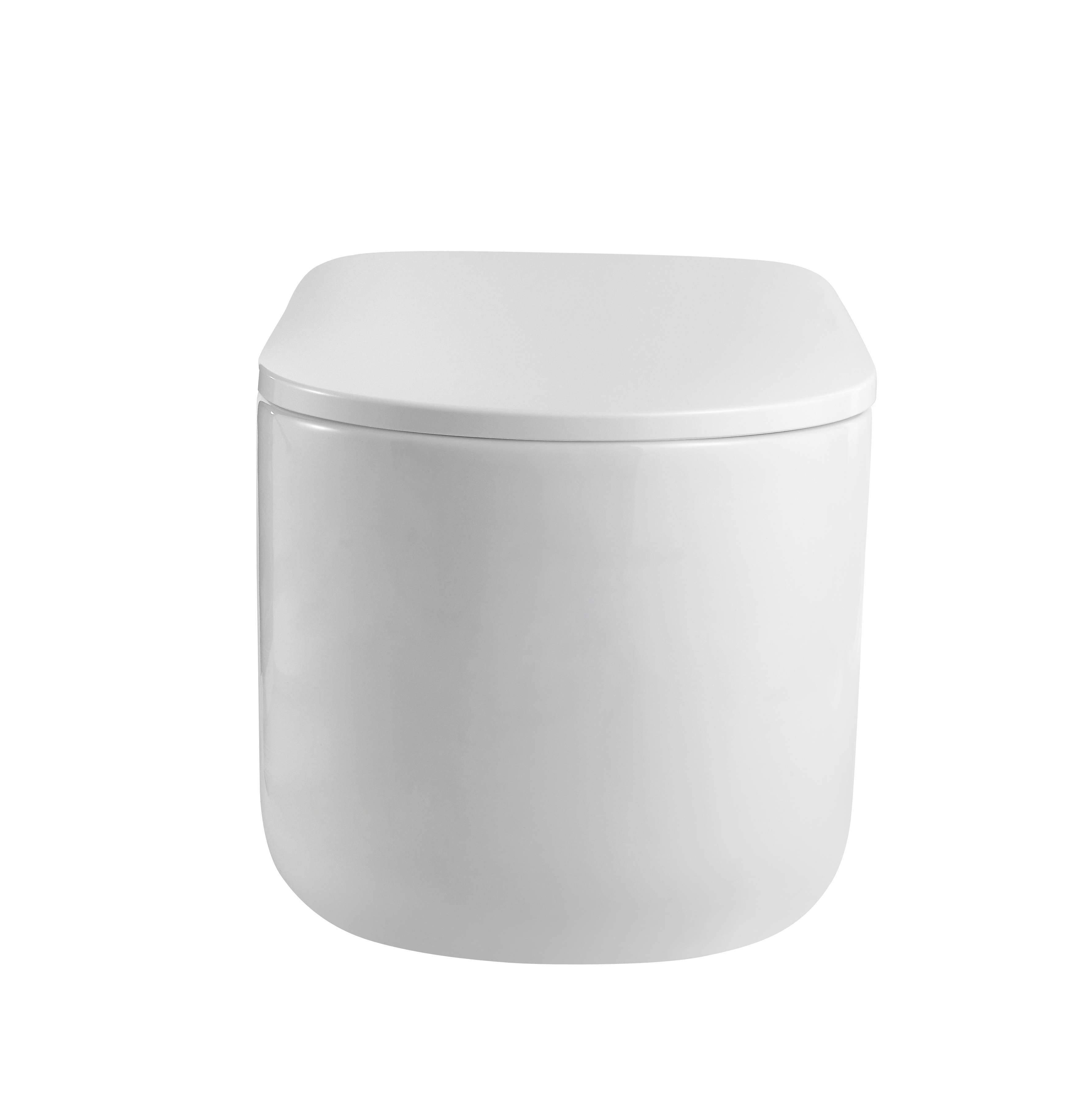 Flow подвесной унитаз глянец белый с крышкой, функция Торнадо