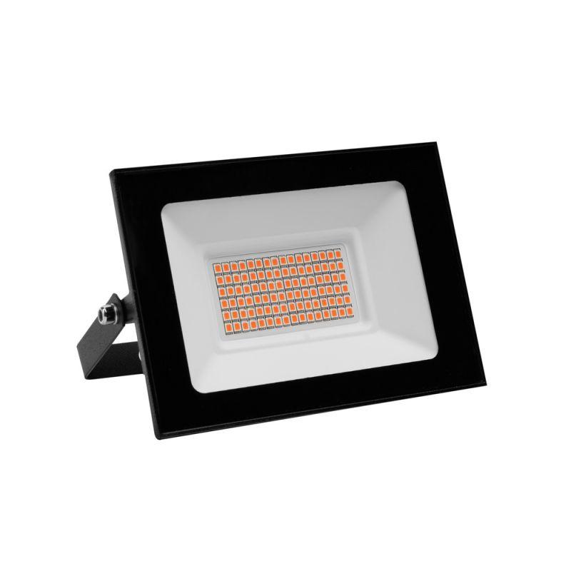 Прожектор светодиодный ФИТО LFL-3005 C02 30Вт черн. Camelion 15835