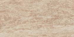 S.M. Woodstone Champagne Str 30x60