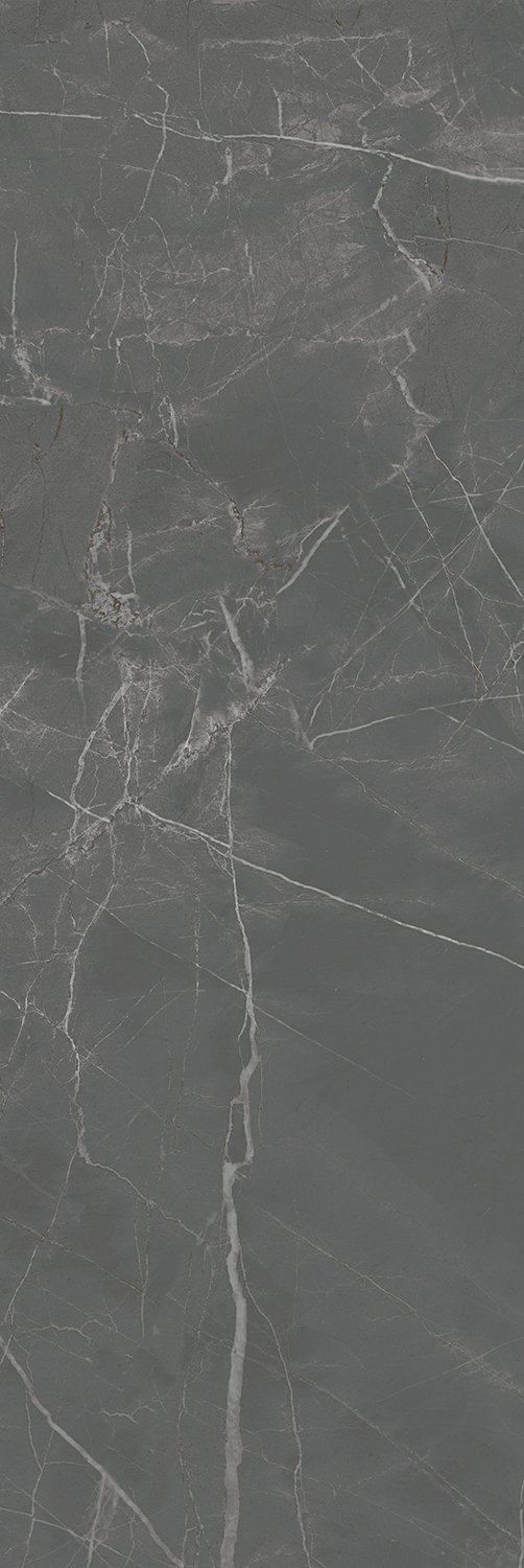 Плитка Буонарроти серый темный 30х89,5, 13098R