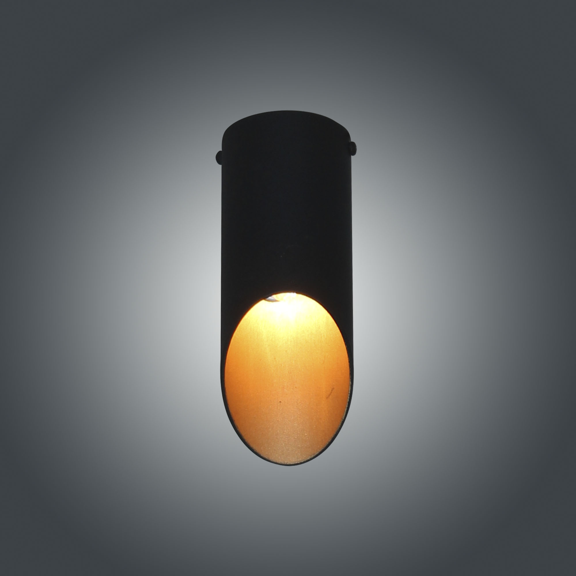 Светильник потолочный Соната 111 черн./зол. НПБ 01-25-101 G9