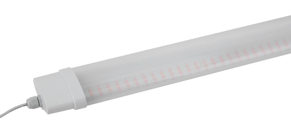 Линейный светильник красно-синего спектра FITO-36W-RB-N (10/240)