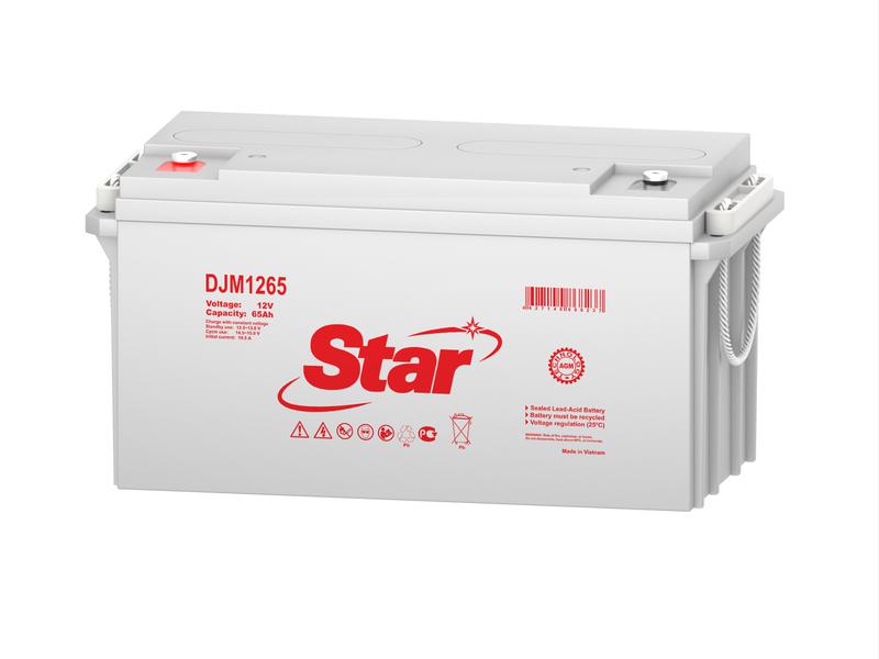 Аккумулятор 12В 65А.ч Star DJM1265