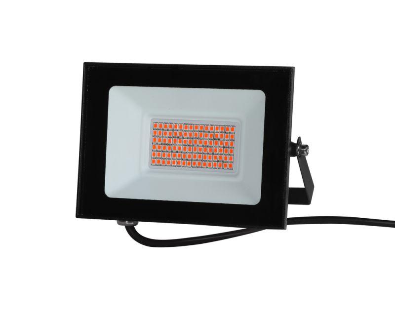 Прожектор светодиодный ФИТО LFL-3005 C02 30Вт черн. Camelion 15835