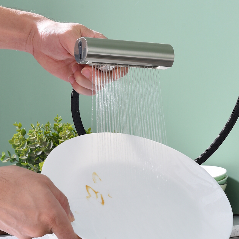 Смеситель для кухни с мультифункциональным изливом Splenka S206.49.05, сатин