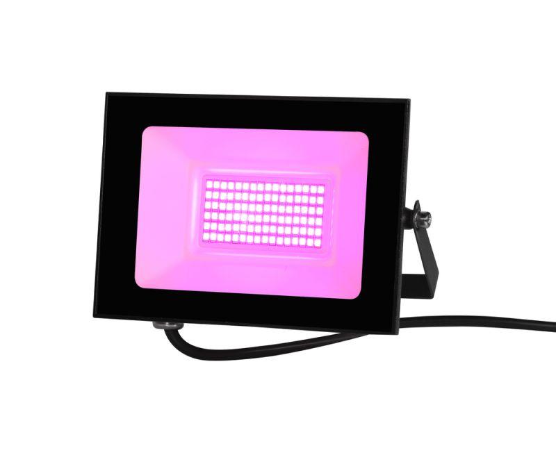 Прожектор светодиодный ФИТО LFL-3005 C02 30Вт черн. Camelion 15835