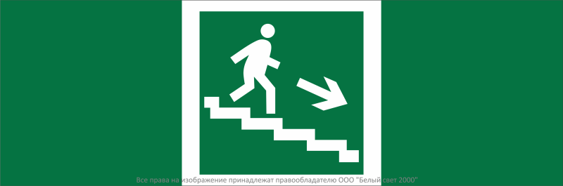 Знак безопасности NPU-3311.E13"Напр. к эвакуац. выходу по лестн. вниз (прав.)" Белый свет a32676