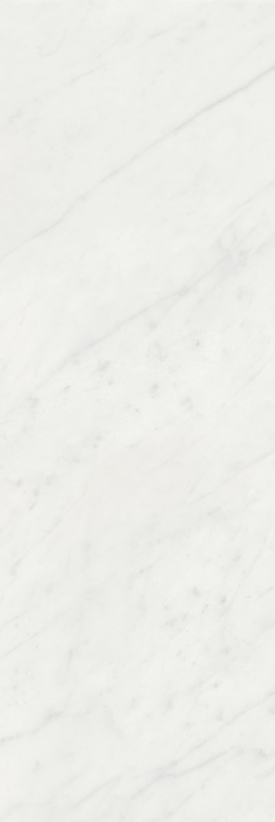 Плитка Борсари белый 25х75, 12103R