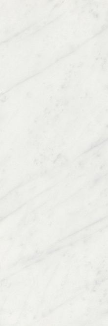 Плитка Борсари белый 25х75, 12103R