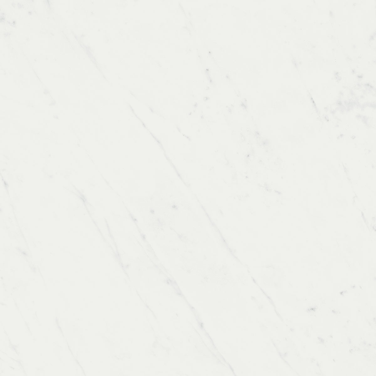 Керамогранит Борсари белый 50,2х50,2, SG453500R