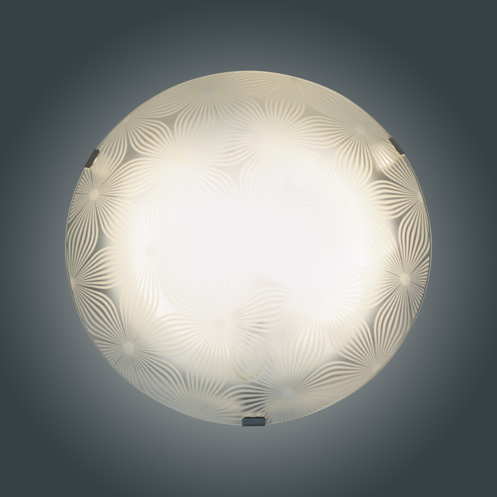 Светильник Васильки 300 НПБ 01-2х60-139 М16 матовый белый кл.штамп металлик ИУ