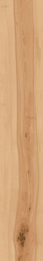 Керамогранит Atlas Concorde Log Cansei AX7B Murano Matte 20x120