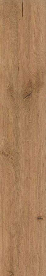 Керамогранит Atlas Concorde Log AX3G Deep Oak Matt 20x120